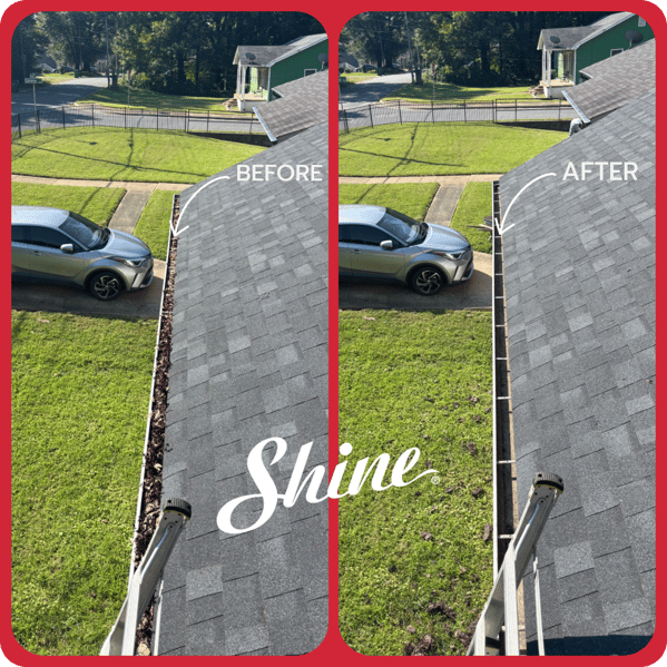 Collage maker project-2-1