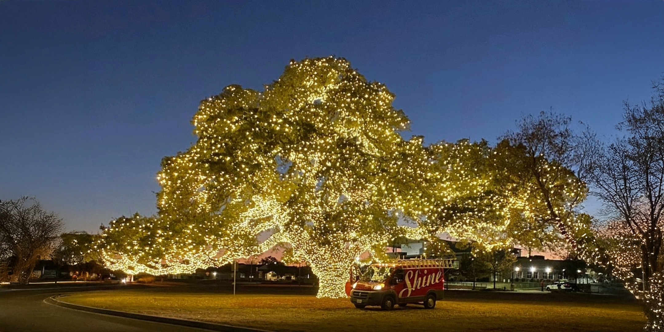 Large Tree Lighting