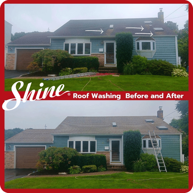 Roof Cleaning Before and After